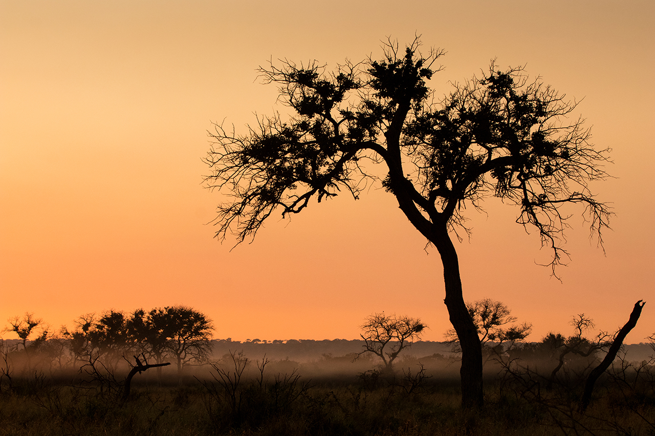 mkhuze sunrise