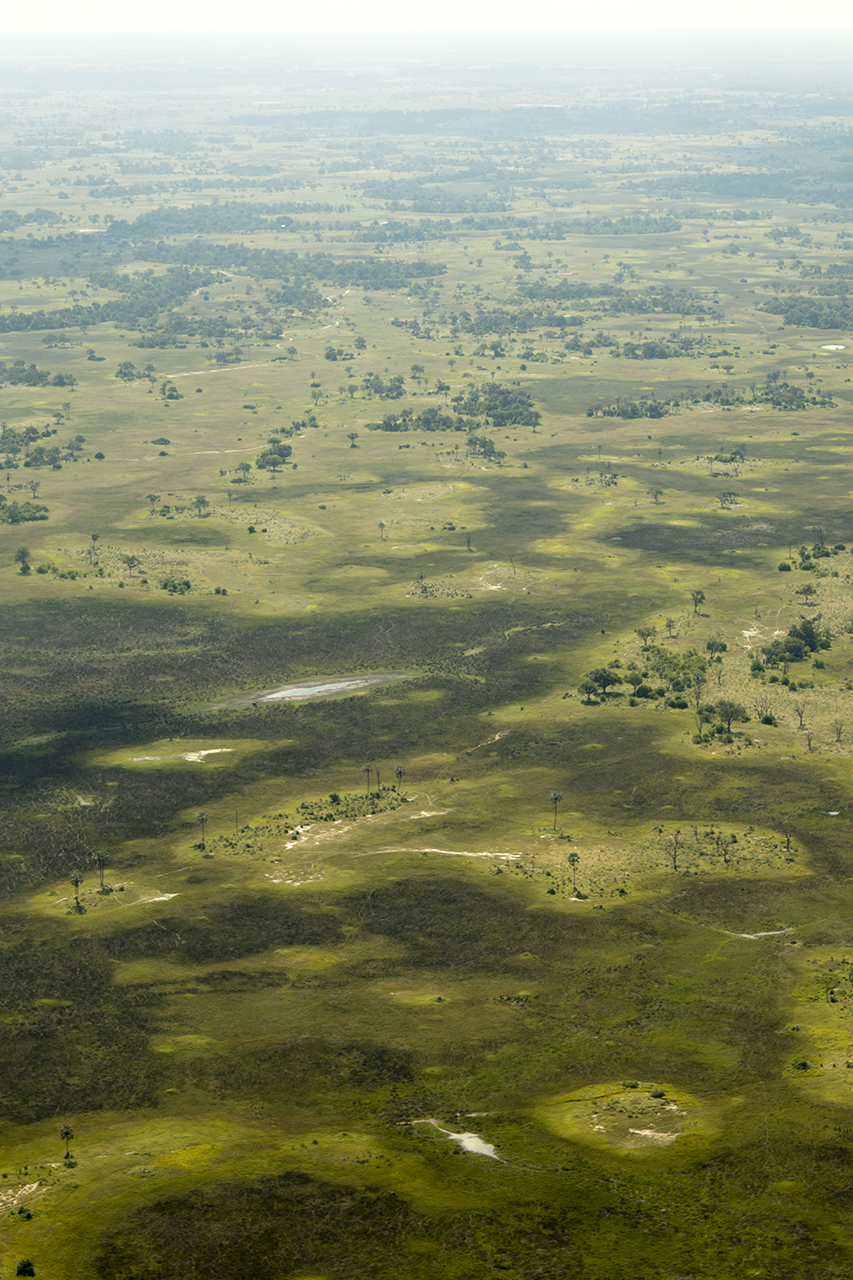 okavango delta aerial