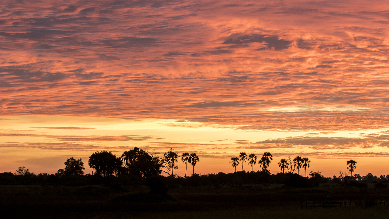 okavango delta sunrise