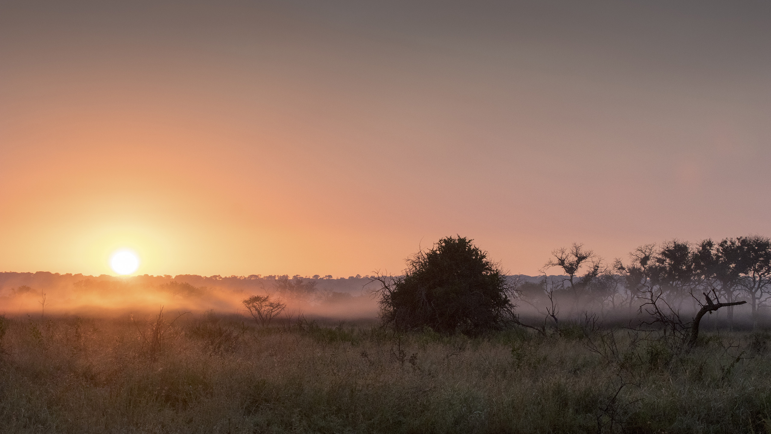 mkhuze sunrise